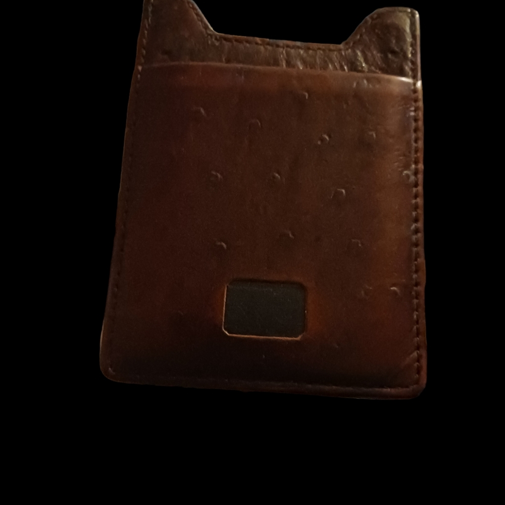 Dollon bulllock money clip